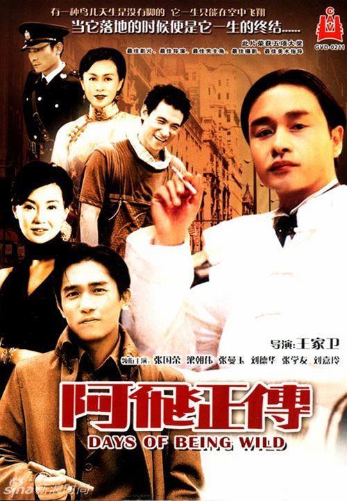 新南威尔士大学公共管理文凭证书